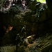 320th Special Tactics Squadron cave rescue training