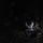 320th Special Tactics Squadron cave rescue training