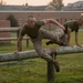 Officer Candidates compete in a timed obstacle course at the Officer Candidate School