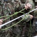 2023 National Guard Bureau Best Warrior Competition Knots and Ropes (1)