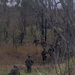 E Co Australian airfield assault exercise