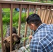 Feeding a Moose