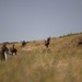 2/6 Golf Company Conducts Amphibious Raids