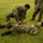 3RD MLG Corpsmen meet with JGSDF during a Medical Knowledge Exchange