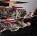 Change of Command SHAPE and Brussels Healthcare Facilities
