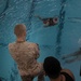 MCRD San Diego Charlie Company Swim Qualification