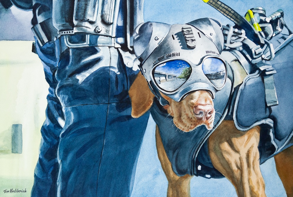 US Coast Guard Art Program 2023 Collection, Ob Id # 202314, Hoist training with canine, Tom Hedderich