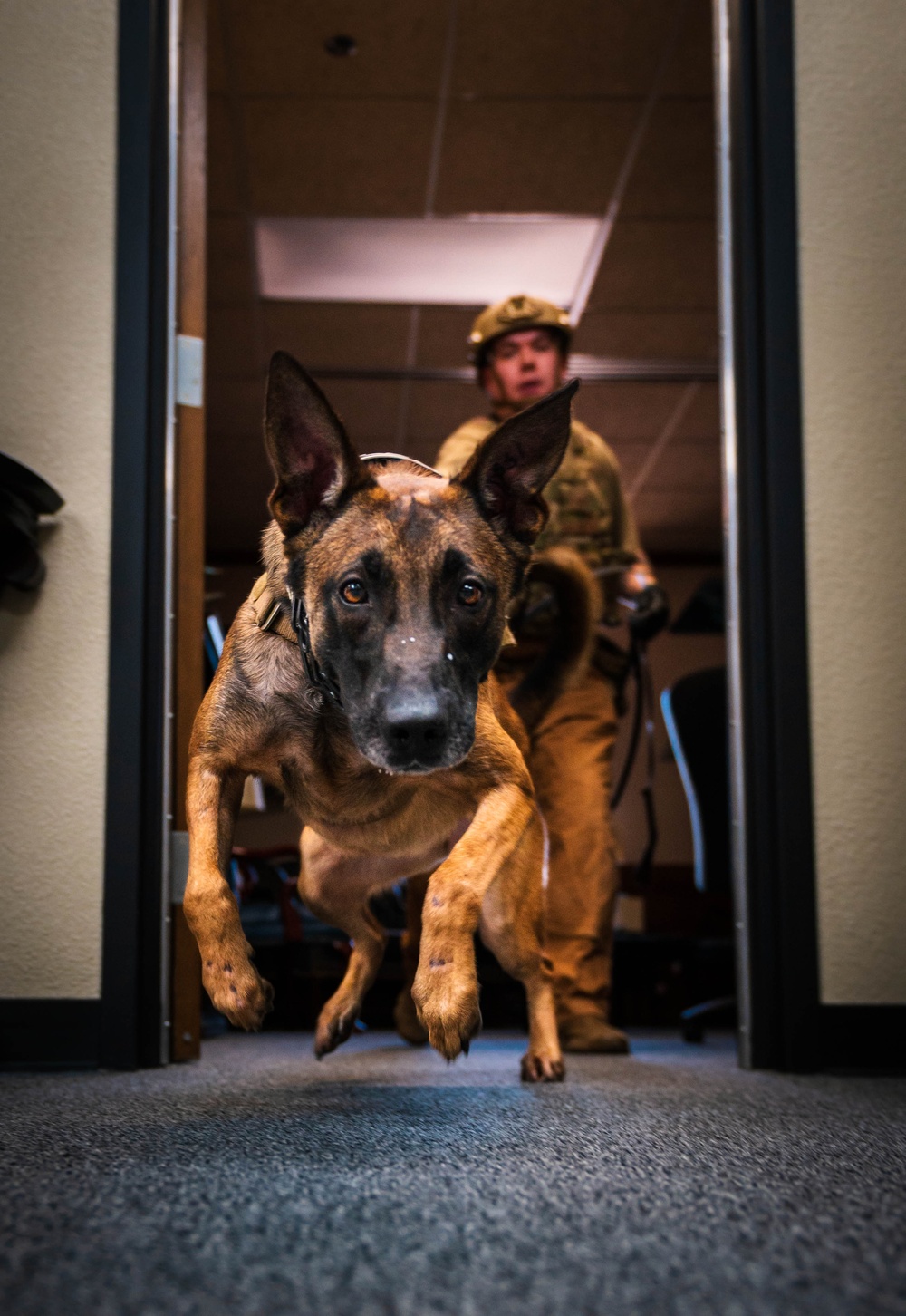 56th SFS conduct MWD assessment