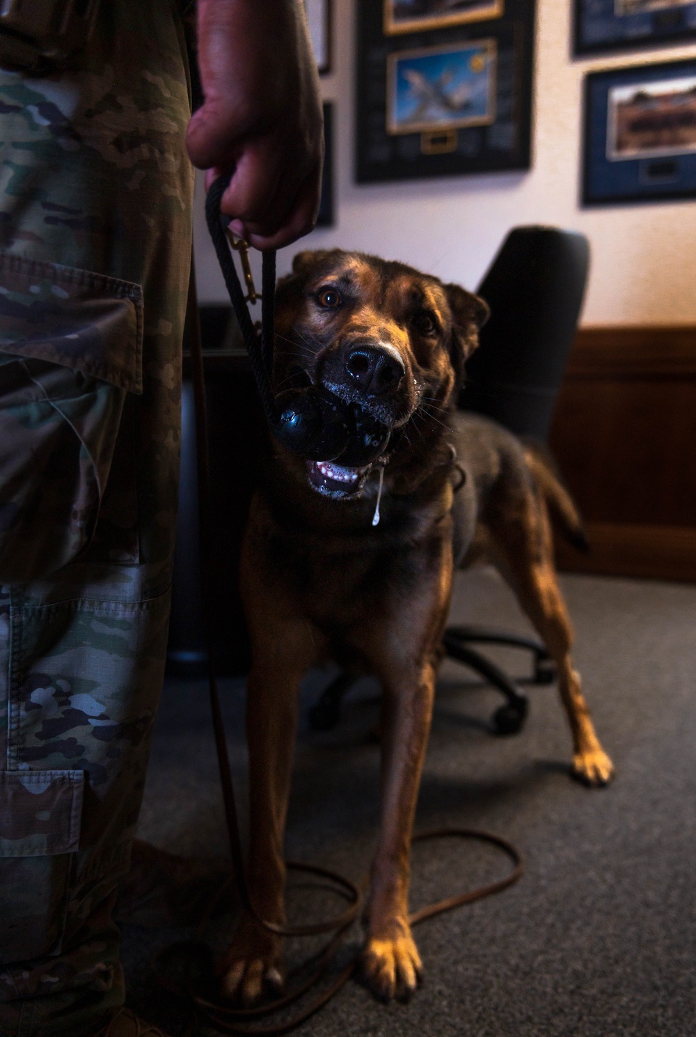 56th SFS conduct MWD assessment