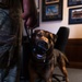 56th SFS conduct MWD assessment