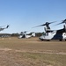 EABO in Australia, Seabees’ Site Survey