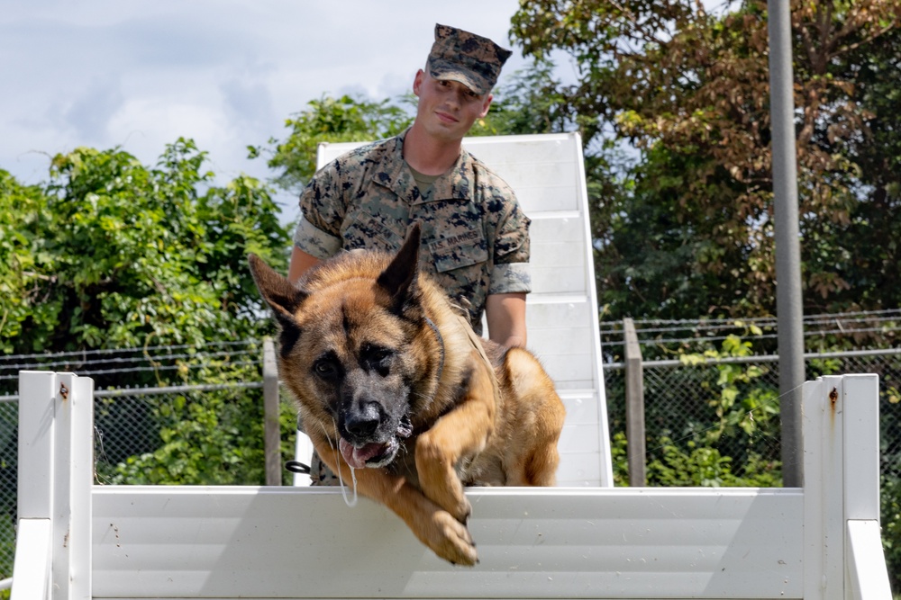 Being Stationed in Okinawa: Sgt. Phelan and MWD Graco