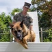 Being Stationed in Okinawa: Sgt. Phelan and MWD Graco