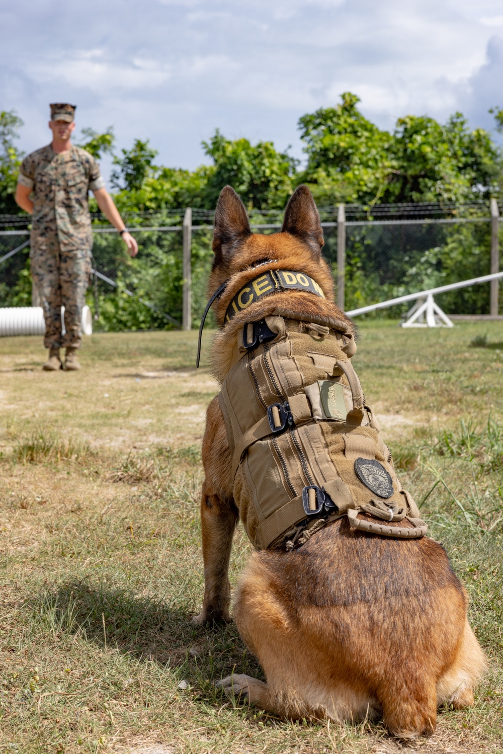Being Stationed in Okinawa: Sgt. Phelan and MWD Graco