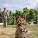 Being Stationed in Okinawa: Sgt. Phelan and MWD Graco
