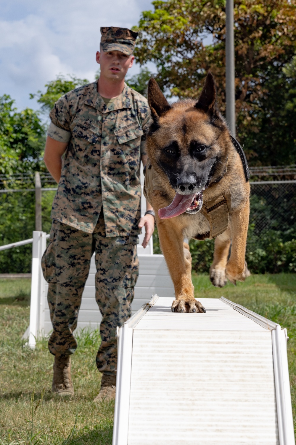 Being Stationed in Okinawa: Sgt. Phelan and MWD Graco