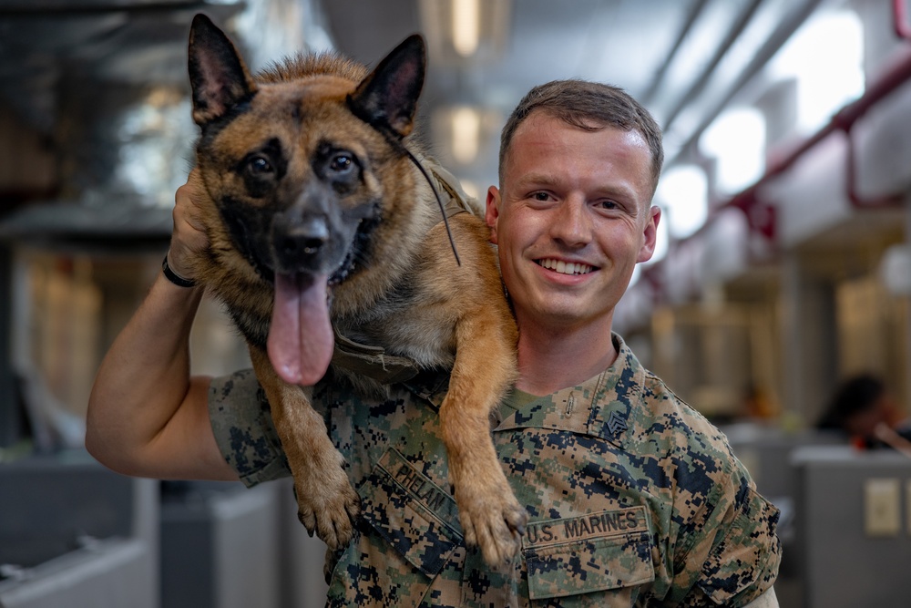 Being Stationed in Okinawa: Sgt. Phelan and MWD Graco