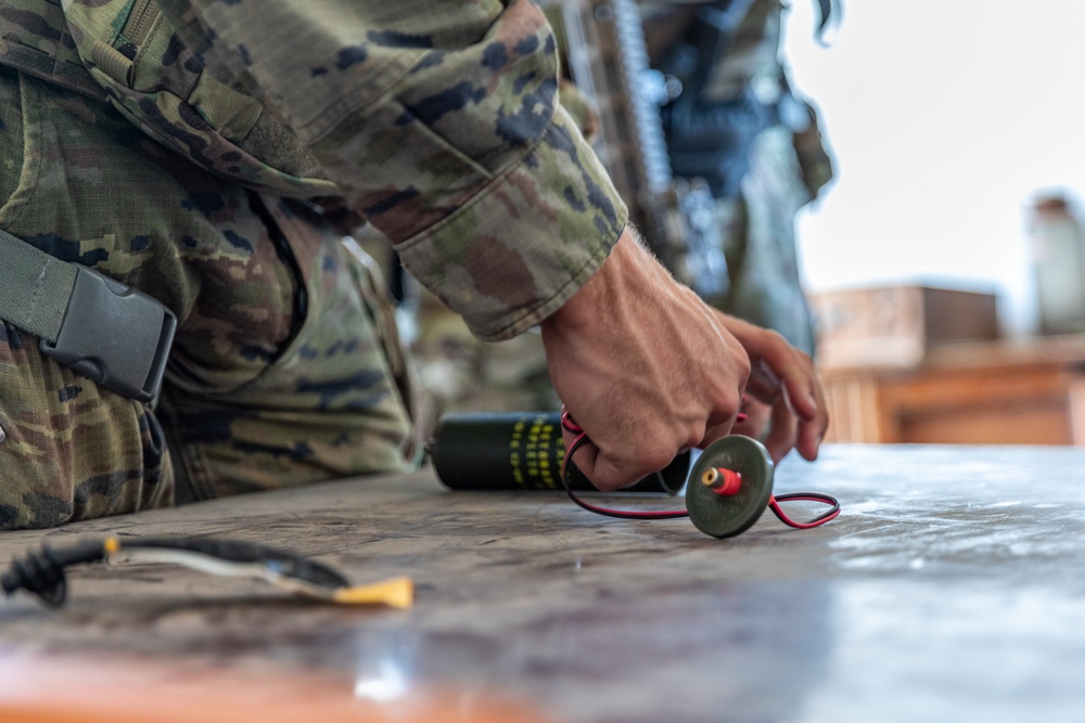 Green Berets Conduct Joint Combined Exchange Training Exercise with Allies in Spain