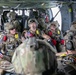 10th Special Forces Group Military Free-Fall in Bosnia-Herzegovina