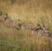 Royal Military Academy Sandhurst trains at Grafenwoehr