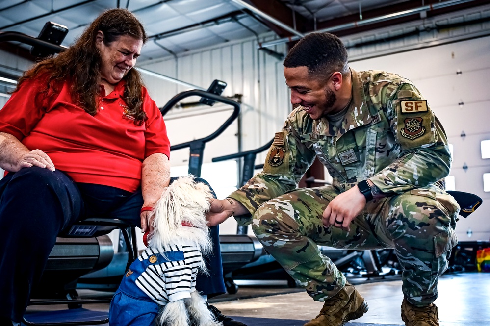 Service members manage stress with 'Bright and Beautiful' Therapy Dogs