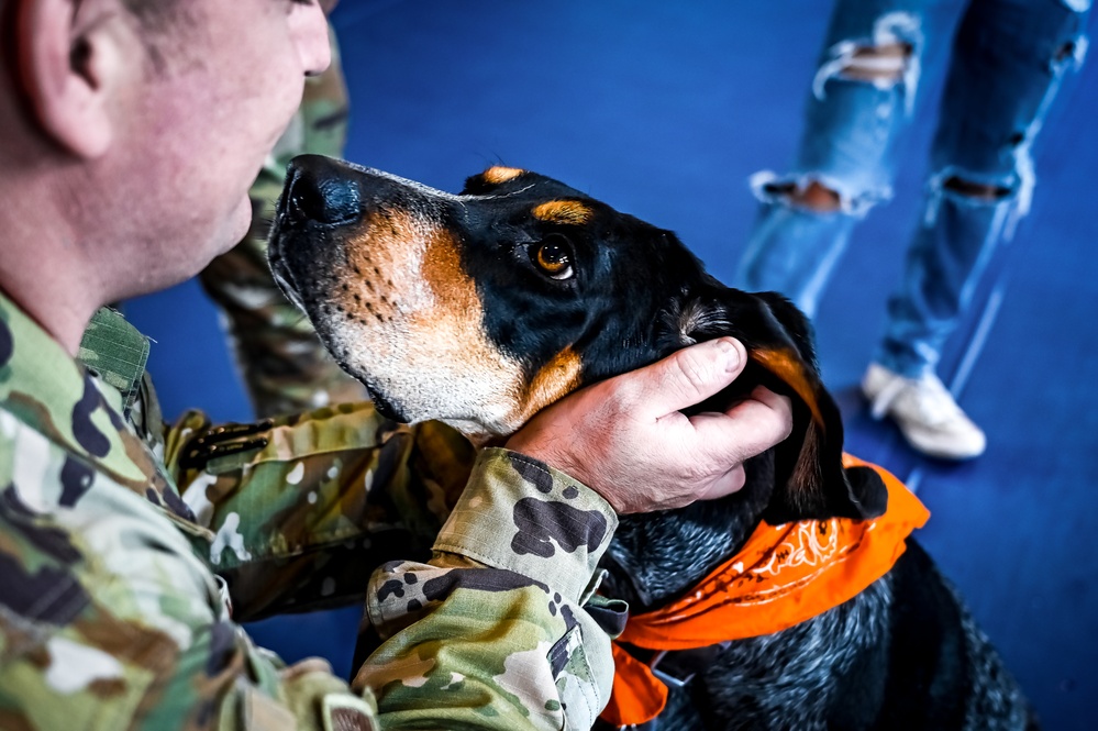 Service members manage stress with 'Bright and Beautiful' Therapy Dogs