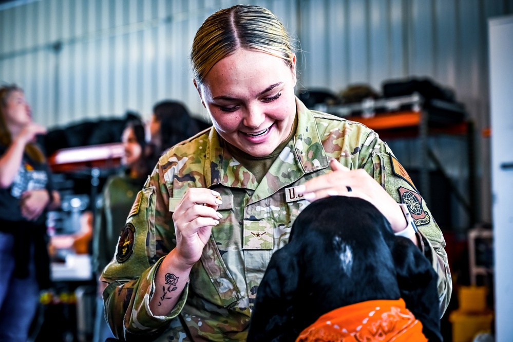 Service members manage stress with 'Bright and Beautiful' Therapy Dogs