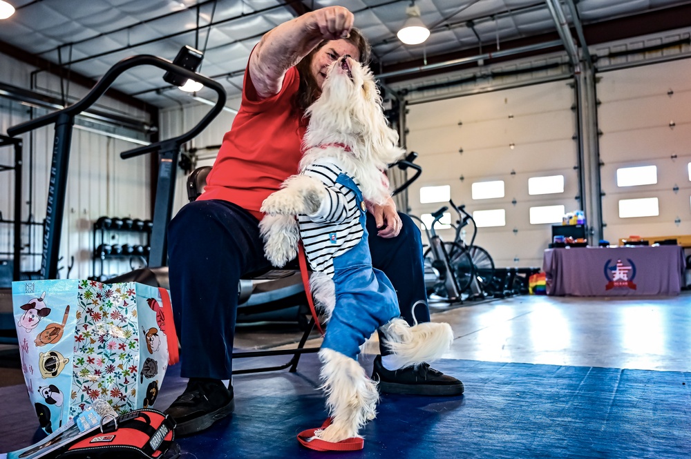 Service members manage stress with 'Bright and Beautiful' Therapy Dogs