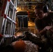 U.S. Airmen conduct medical triage mission during Mobility Guardian 2023