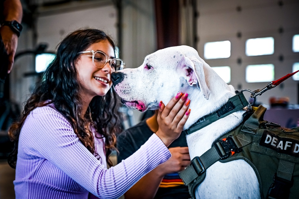 Service members manage stress with 'Bright and Beautiful' Therapy Dogs