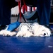 Service members manage stress with 'Bright and Beautiful' Therapy Dogs