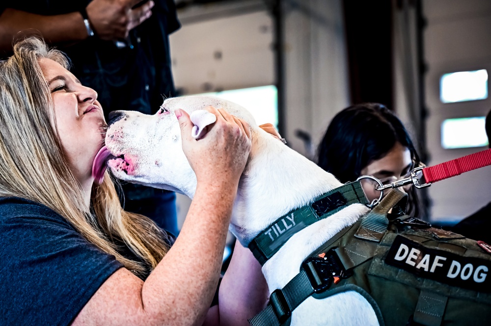 Service members manage stress with 'Bright and Beautiful' Therapy Dogs