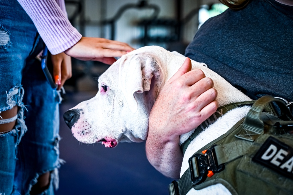 Service members manage stress with 'Bright and Beautiful' Therapy Dogs