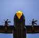 The U.S. Navy Flight Demonstration Squadron, the Blue Angels, perform at the Defenders of Liberty Air Show over Barksdale Air Force Base, LA.