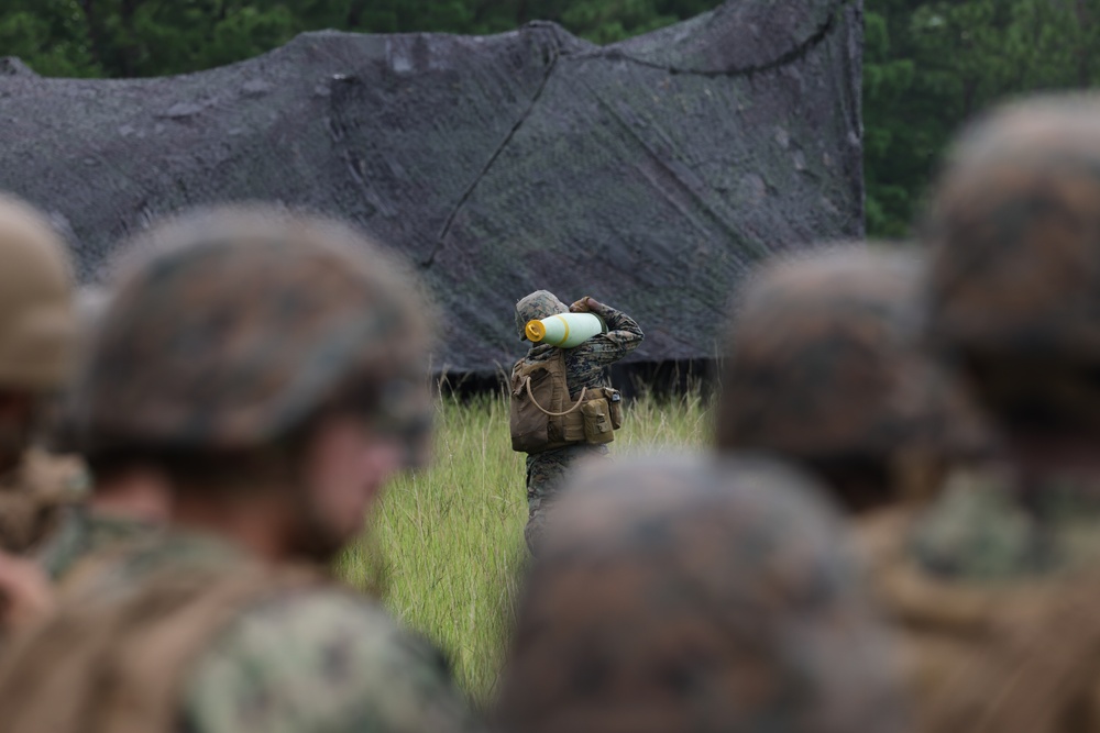 Midshipmen Artillery Familiarization