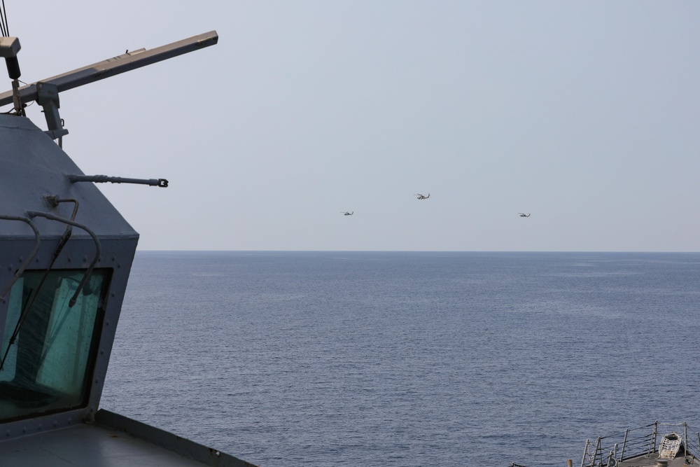 Sea Hawks Fly By Ramage