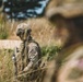 RMAS Cadets Train in Grafenwoehr