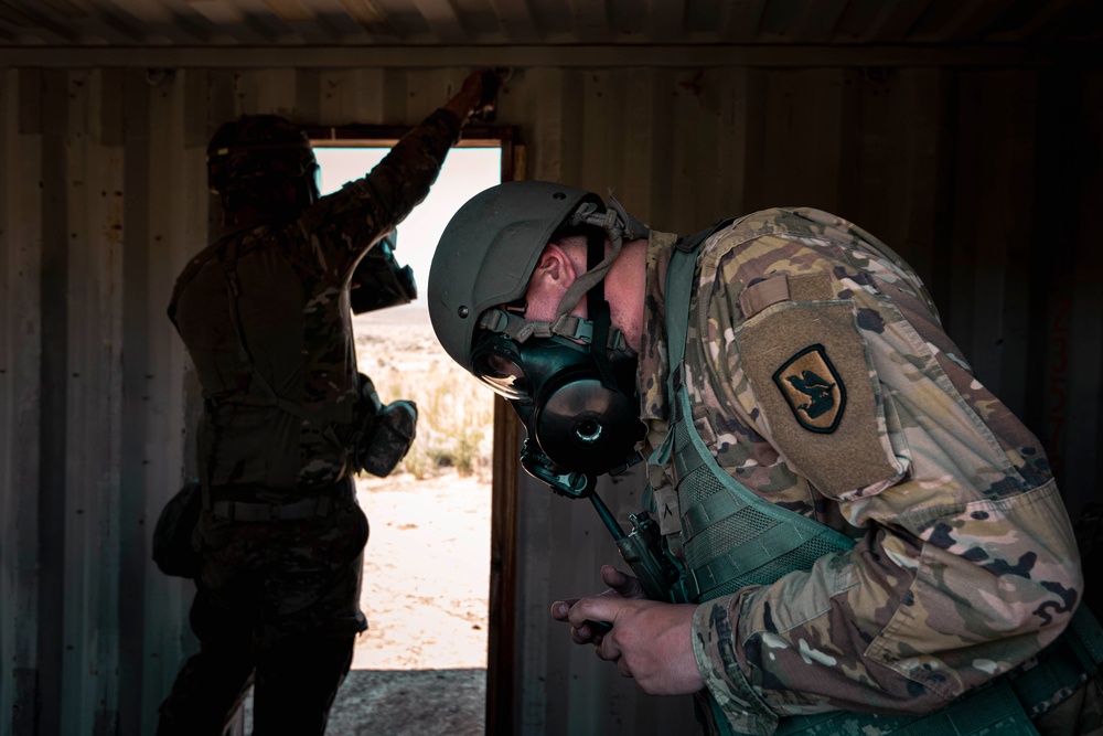 Desert RECON: Washington National Guard CBRN reconnaissance platoon completes annual training