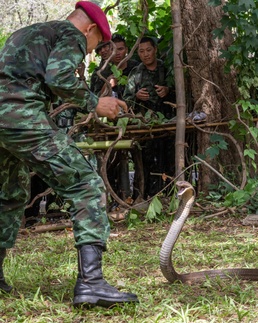 U.S. Army and Royal Thai Army conduct jungle training during Exercise Hanuman Guardian 2023