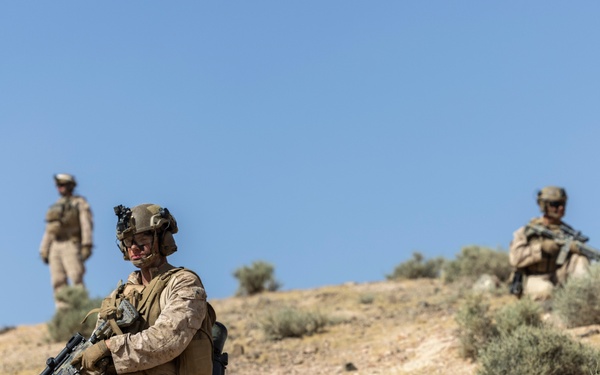 Intrepid Maven 23.4 FINEX