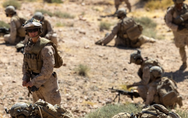 Intrepid Maven 23.4 FINEX