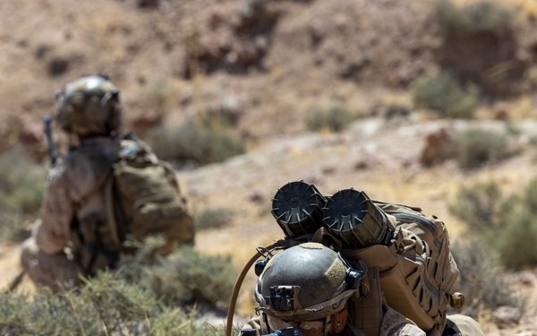 Intrepid Maven 23.4 FINEX