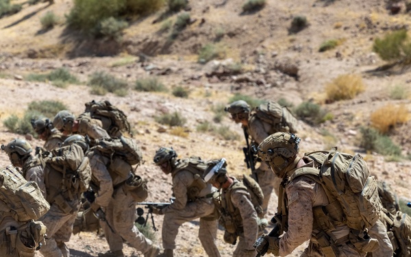 Intrepid Maven 23.4 FINEX