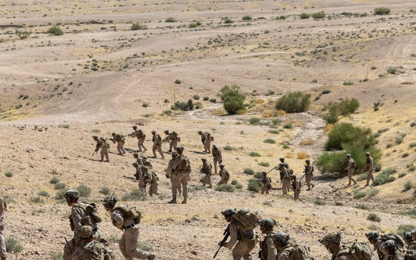 Intrepid Maven 23.4 FINEX