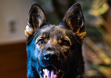 Joint Base MDL Opens Up 'Sean's Room'