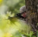 WAREX 87-23-01 training at Fort McCoy
