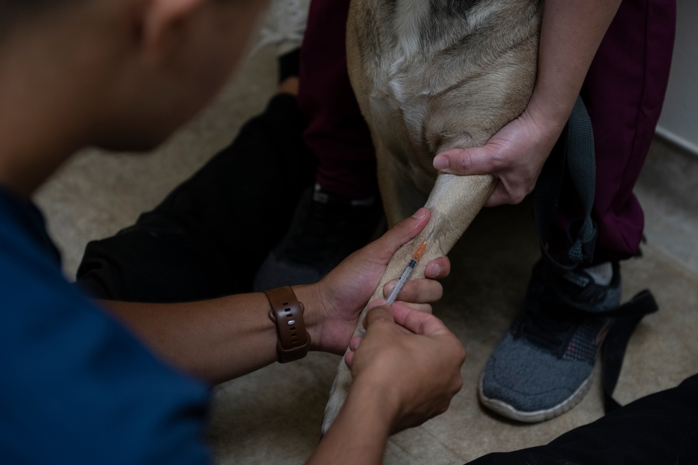 Vet Clinic provides care for family pets