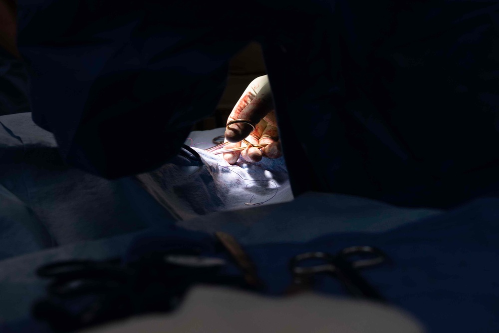 Northwest Arkansas Wellness IRT