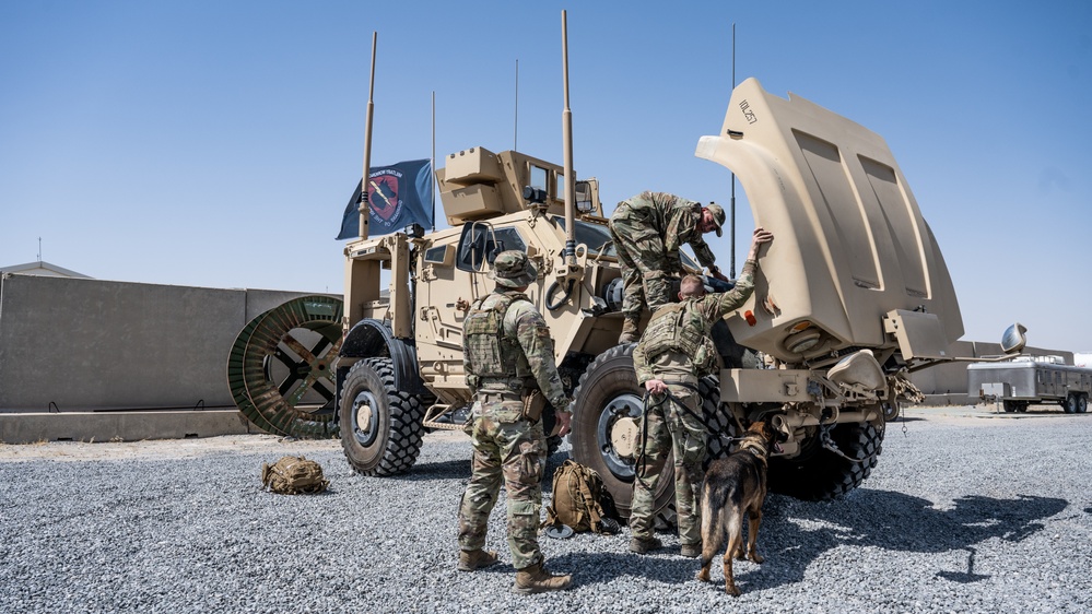 Military Working Dogs Go for a Ride