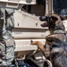 Military Working Dogs Go for a Ride